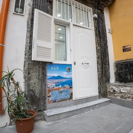 Royal Spaccanapoli Appartement Napels